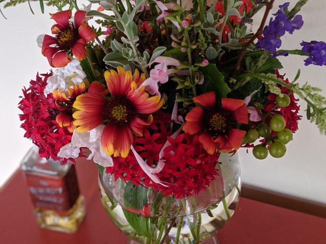 00100lPORTRAIT_00100_BURST20190922112241036_COVER