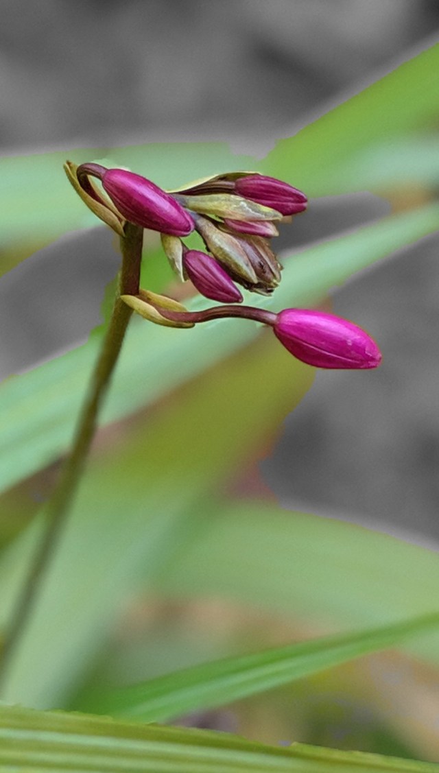 00100lPORTRAIT_00100_BURST20190928095811992_COVER~2