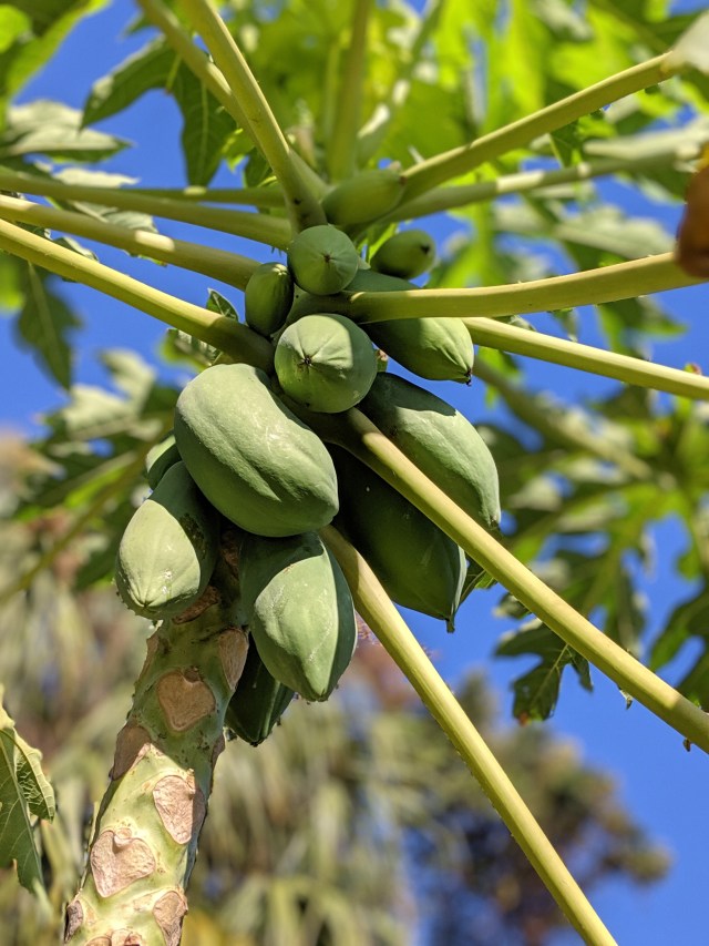 00100lPORTRAIT_00100_BURST20190928100020220_COVER