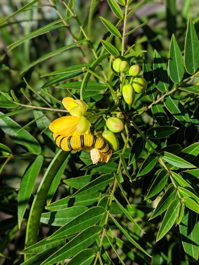 00100lPORTRAIT_00100_BURST20190928100058153_COVER