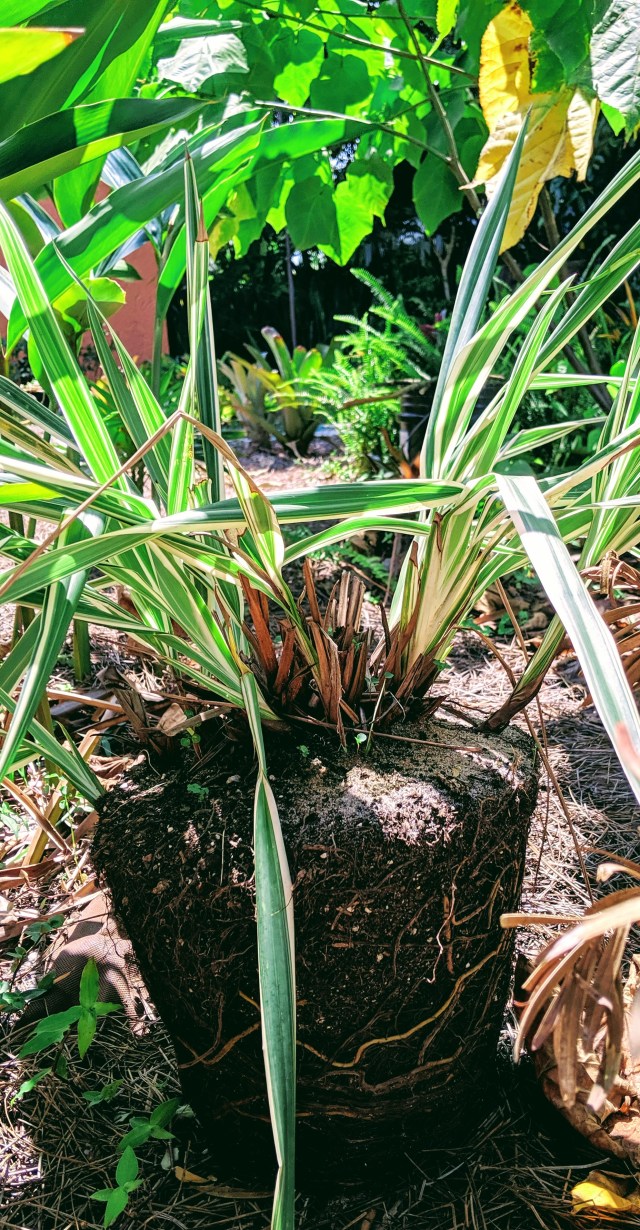 MVIMG_20190912_134709