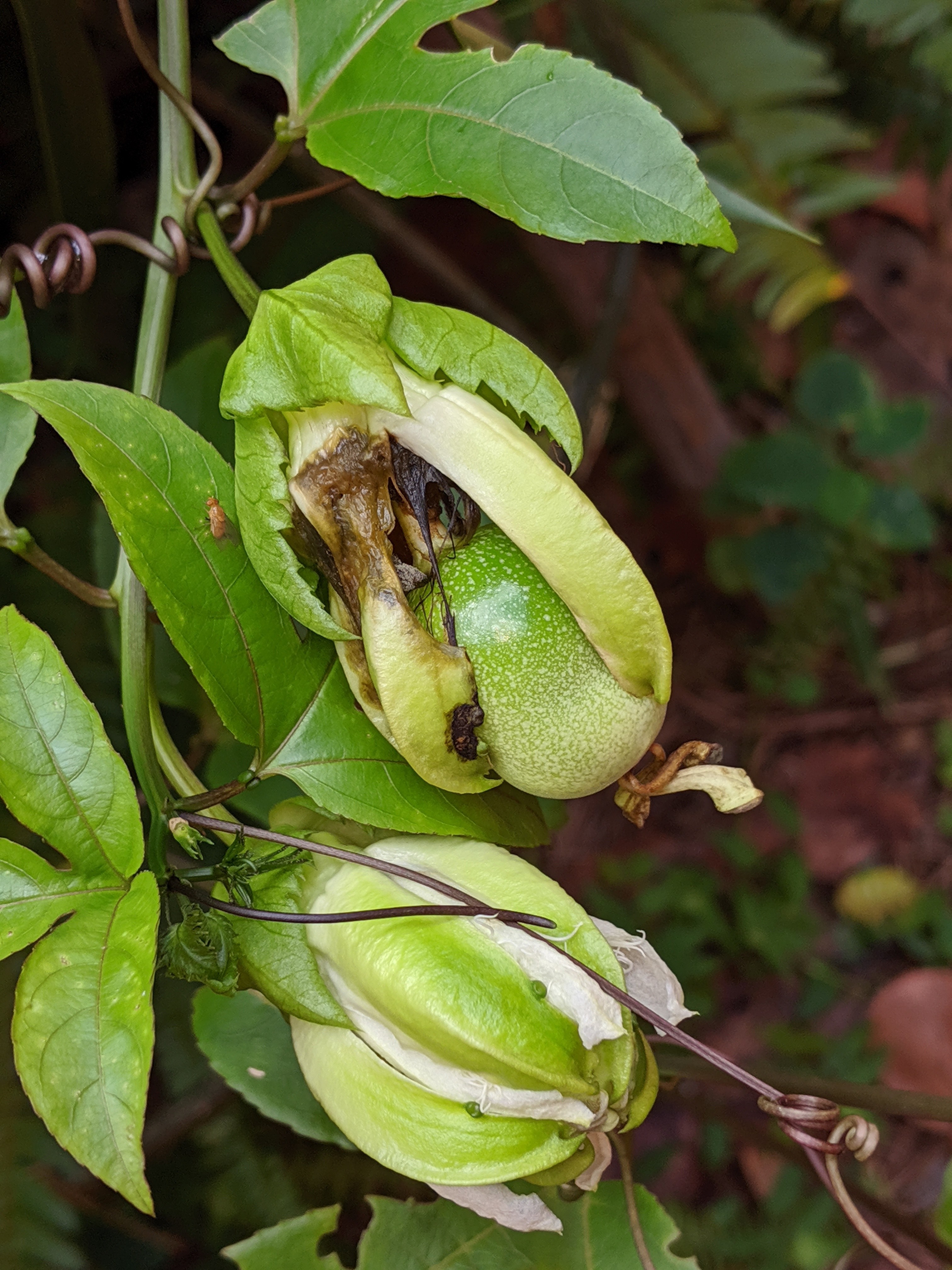 00000img_00000_burst20191027152424374_cover