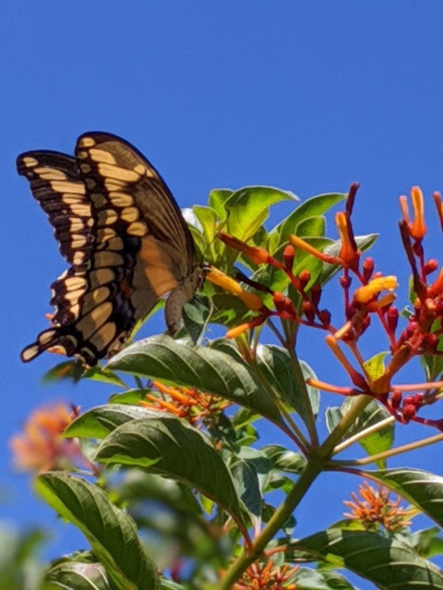 00100lPORTRAIT_00100_BURST20191004110102072_COVER