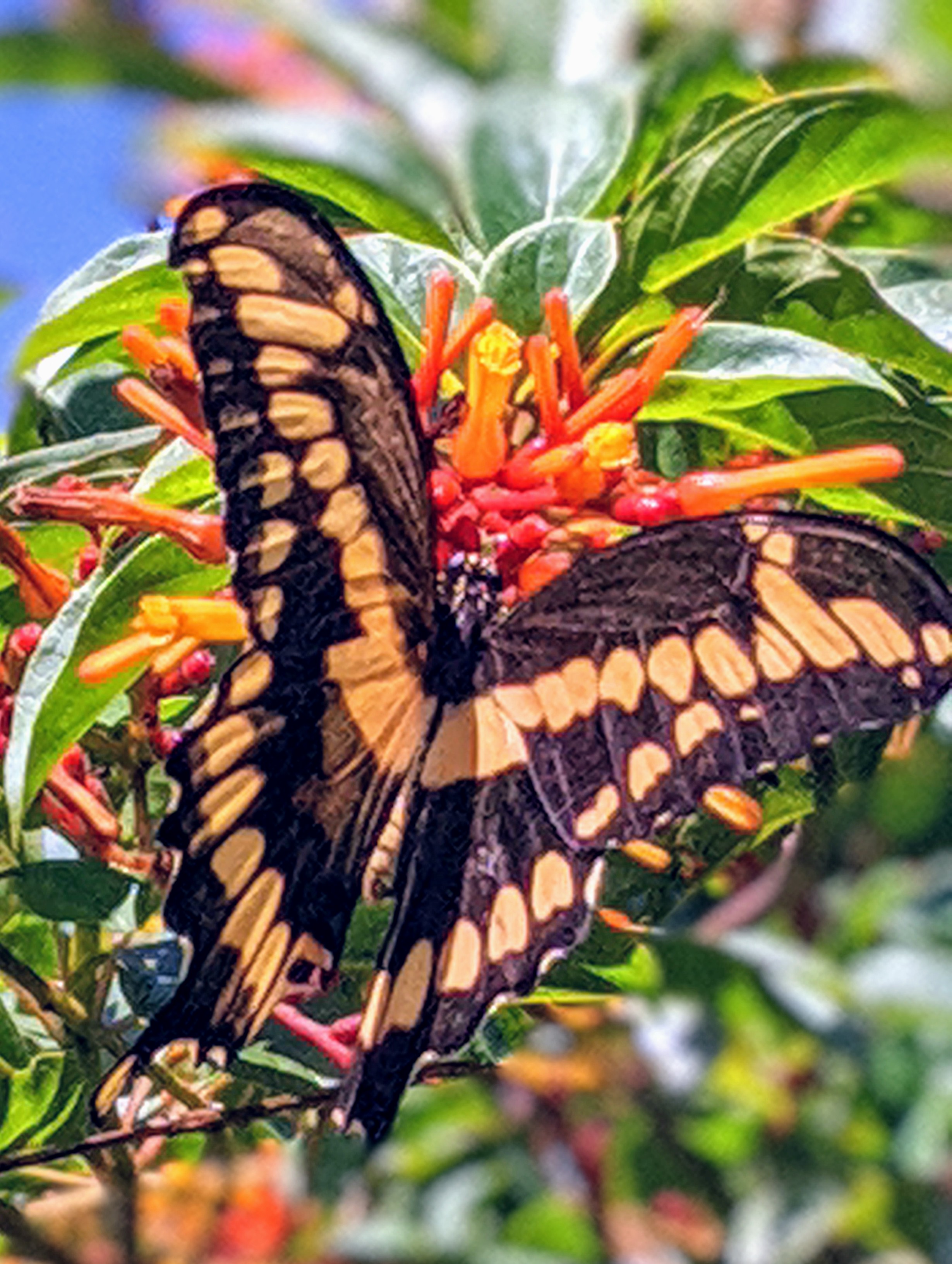 00100lportrait_00100_burst20191004110116552_cover