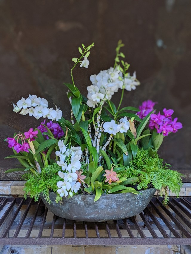 00100lportrait_00100_burst20191012132232196_cover