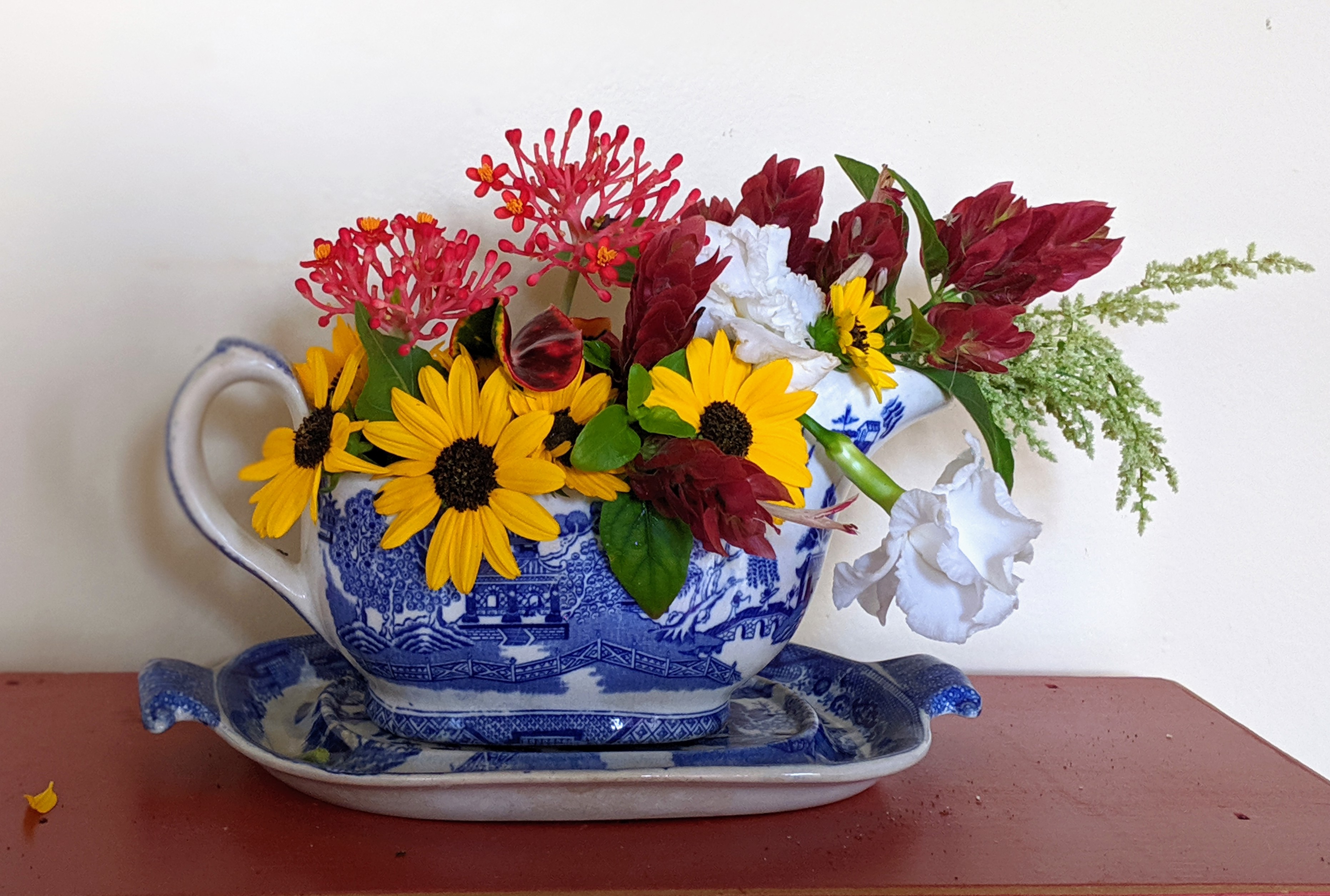 00100lportrait_00100_burst20191013105119458_cover