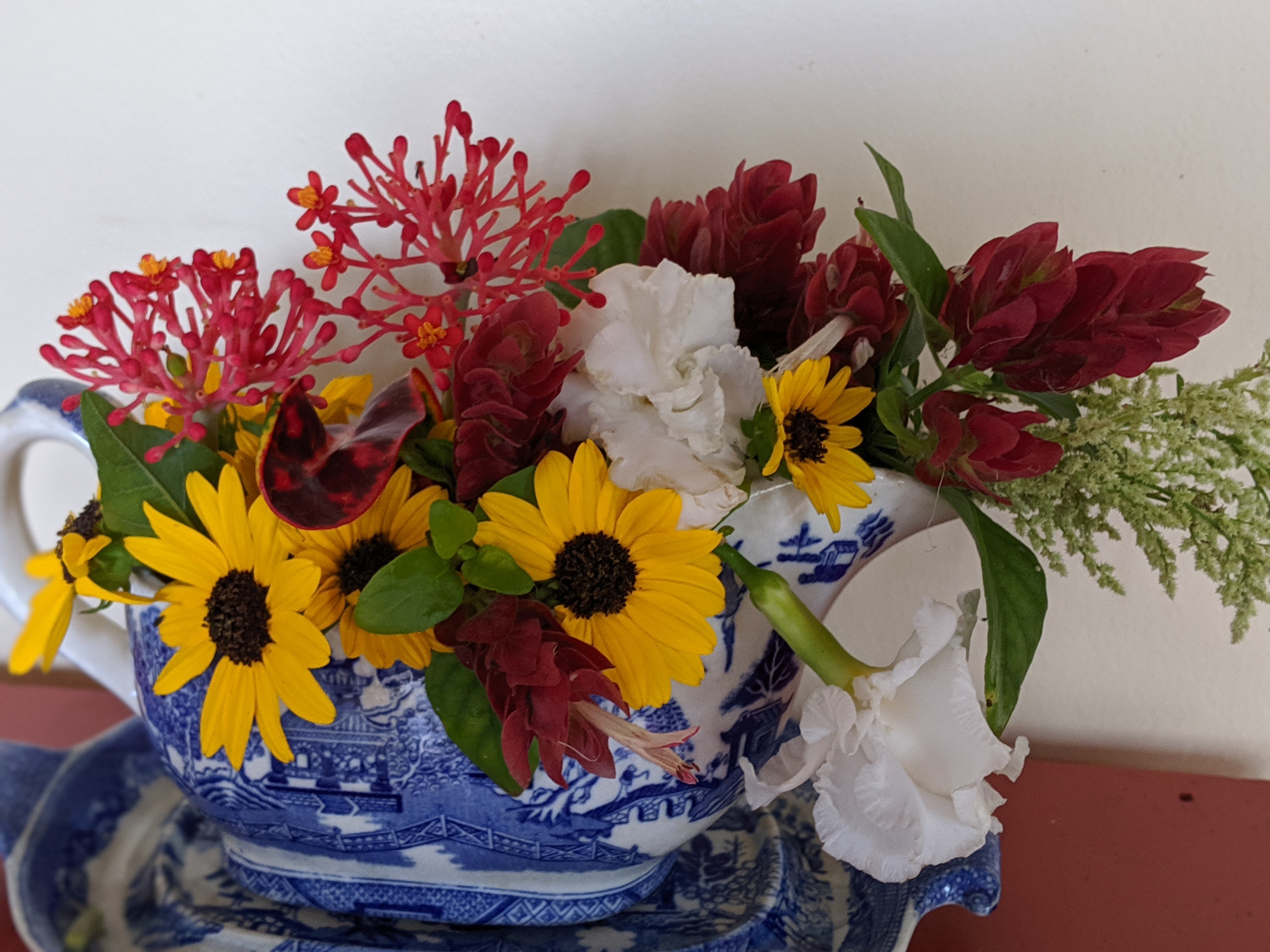 00100lportrait_00100_burst20191013105139355_cover