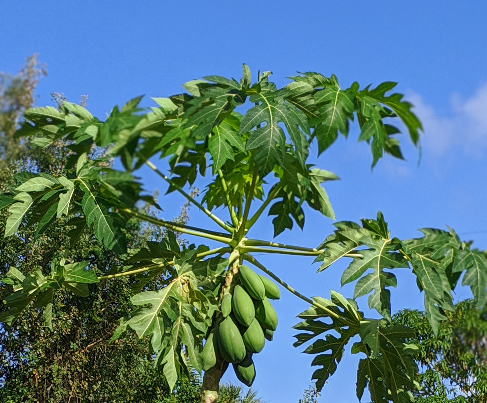 00100lportrait_00100_burst20191025102227646_cover-1