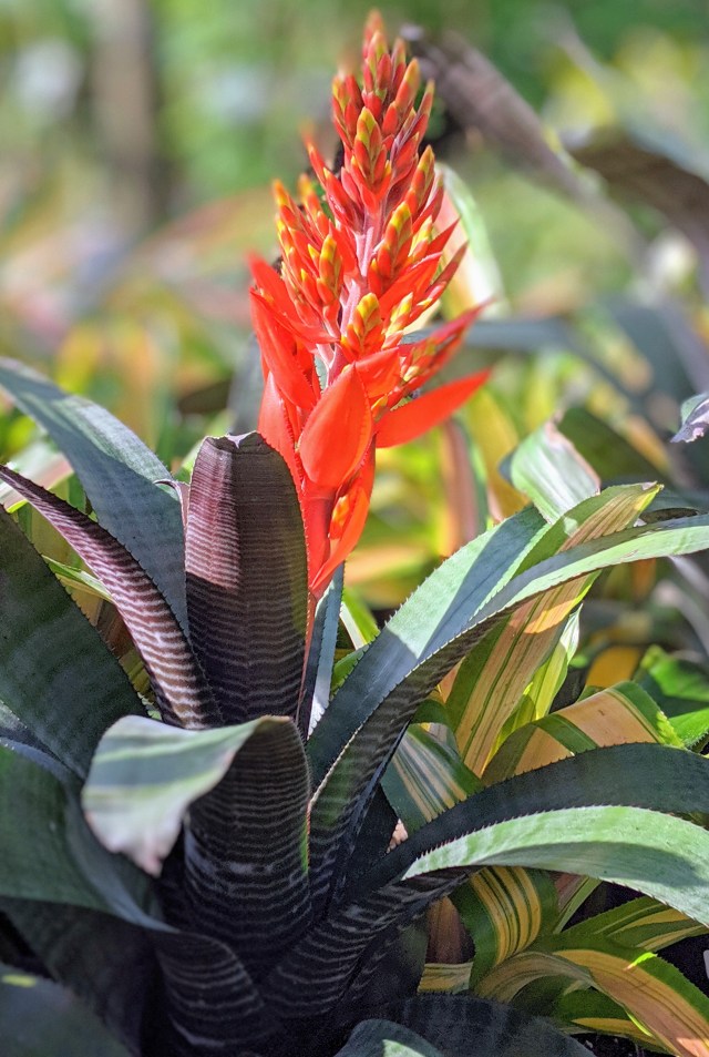 00100lportrait_00100_burst20191028101209151_cover