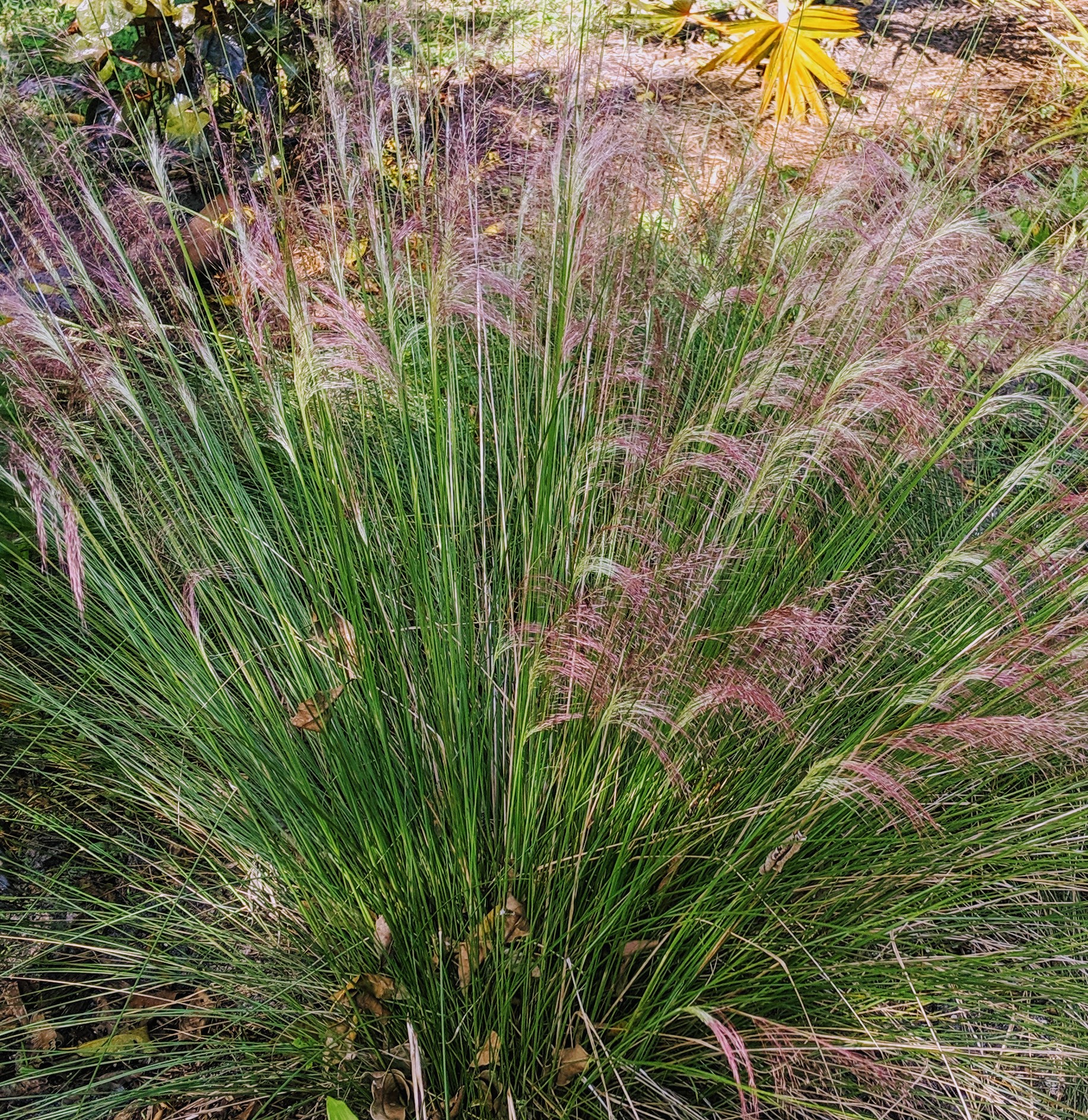 img_20191025_102213-1