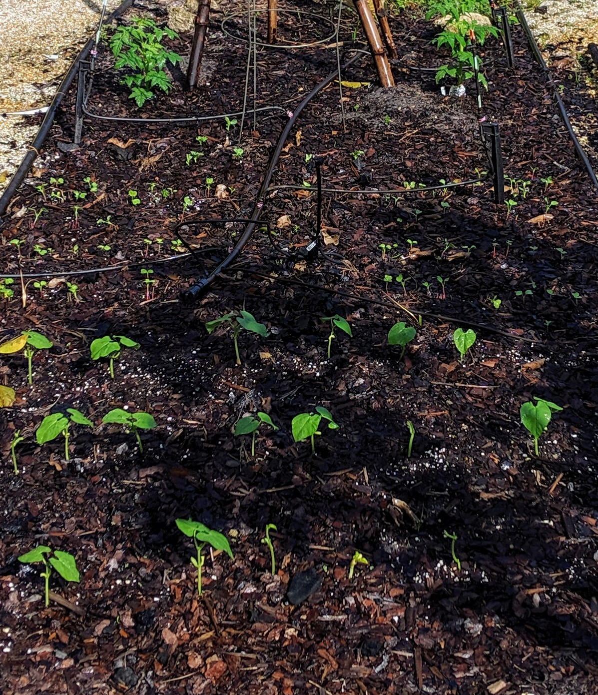 img_20191025_102218-1