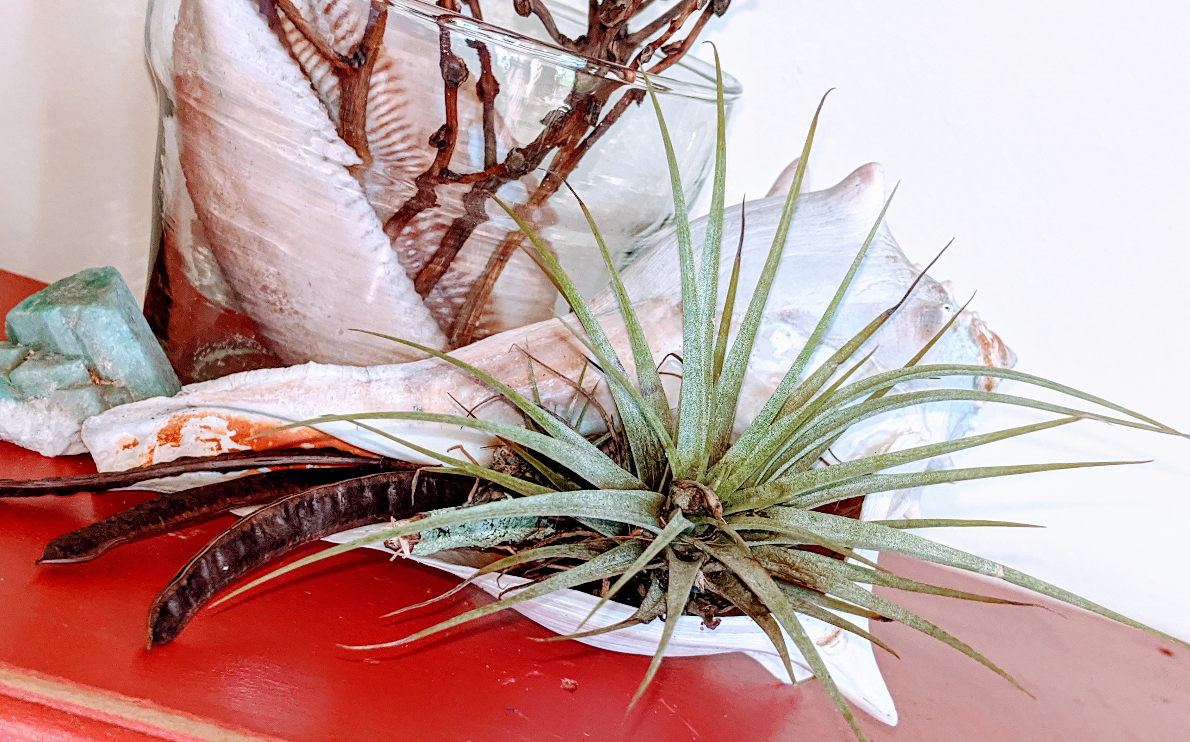 00000IMG_00000_BURST20191110104721702_COVER