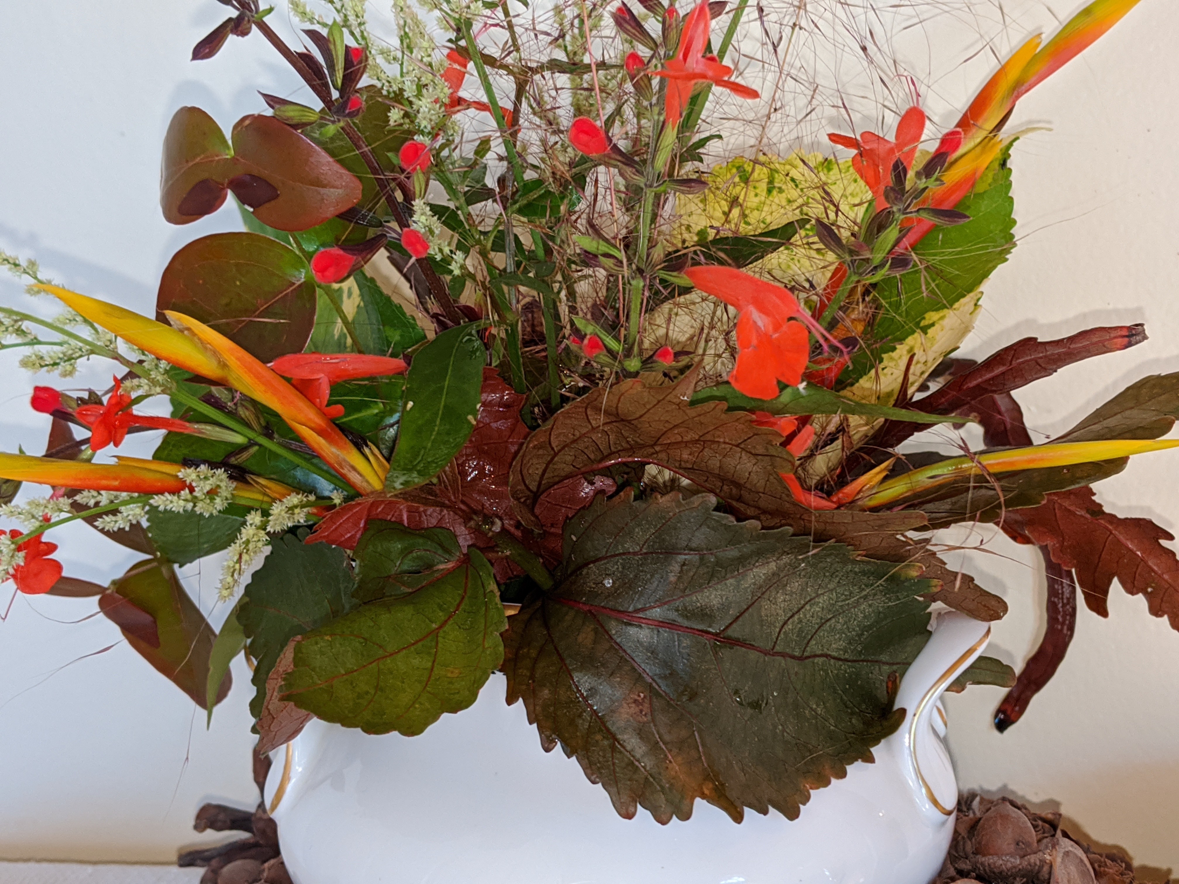 00000img_00000_burst20191124144737294_cover