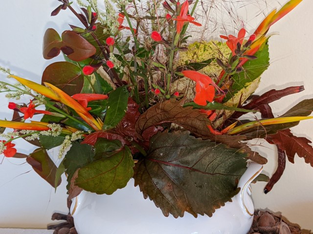 00000img_00000_burst20191124144737294_cover