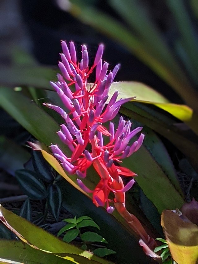 00100lrportrait_00100_burst20191110101509113_cover