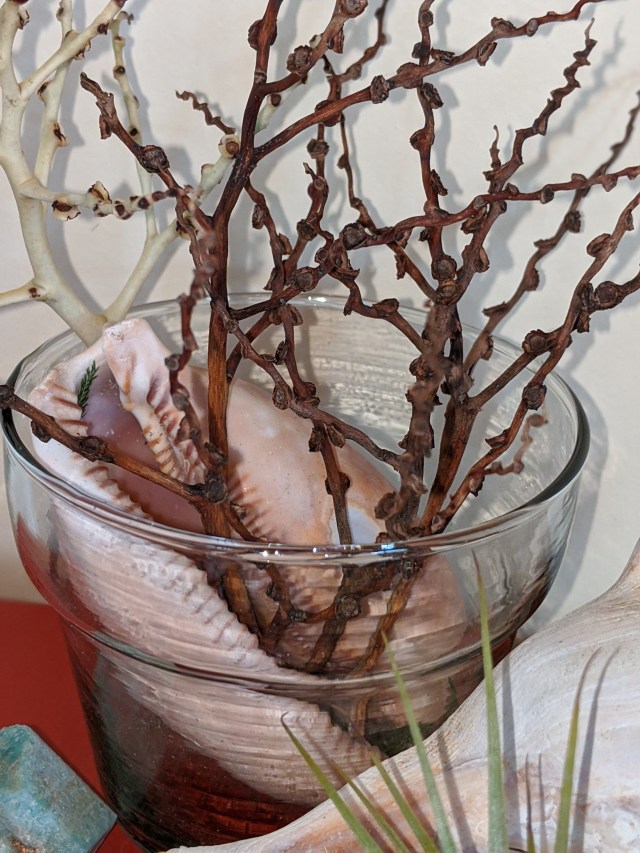 00100lrPORTRAIT_00100_BURST20191110104730390_COVER