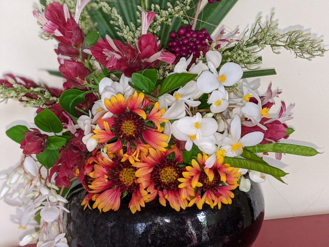 00100lrPORTRAIT_00100_BURST20191117130923032_COVER