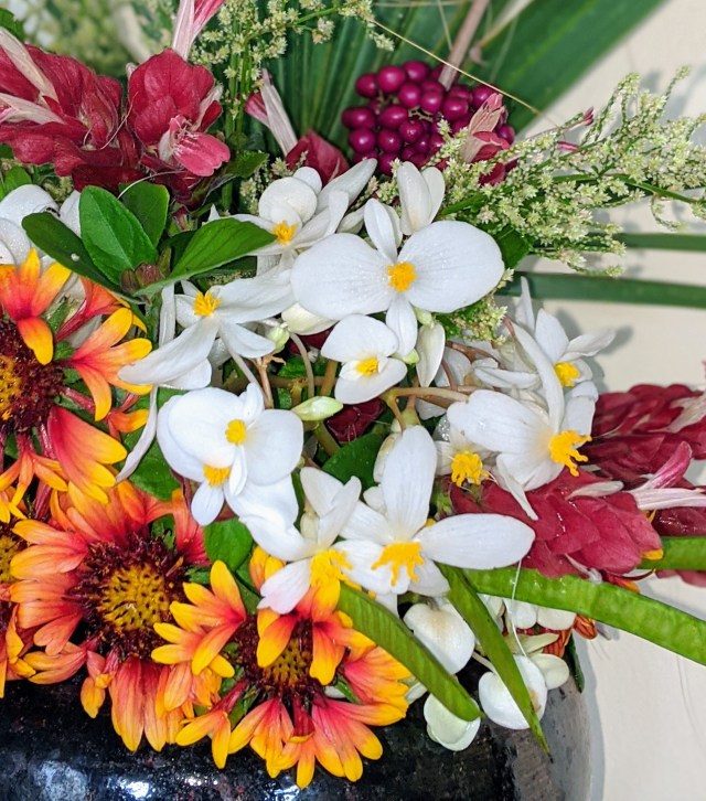 00100lrPORTRAIT_00100_BURST20191117130942887_COVER