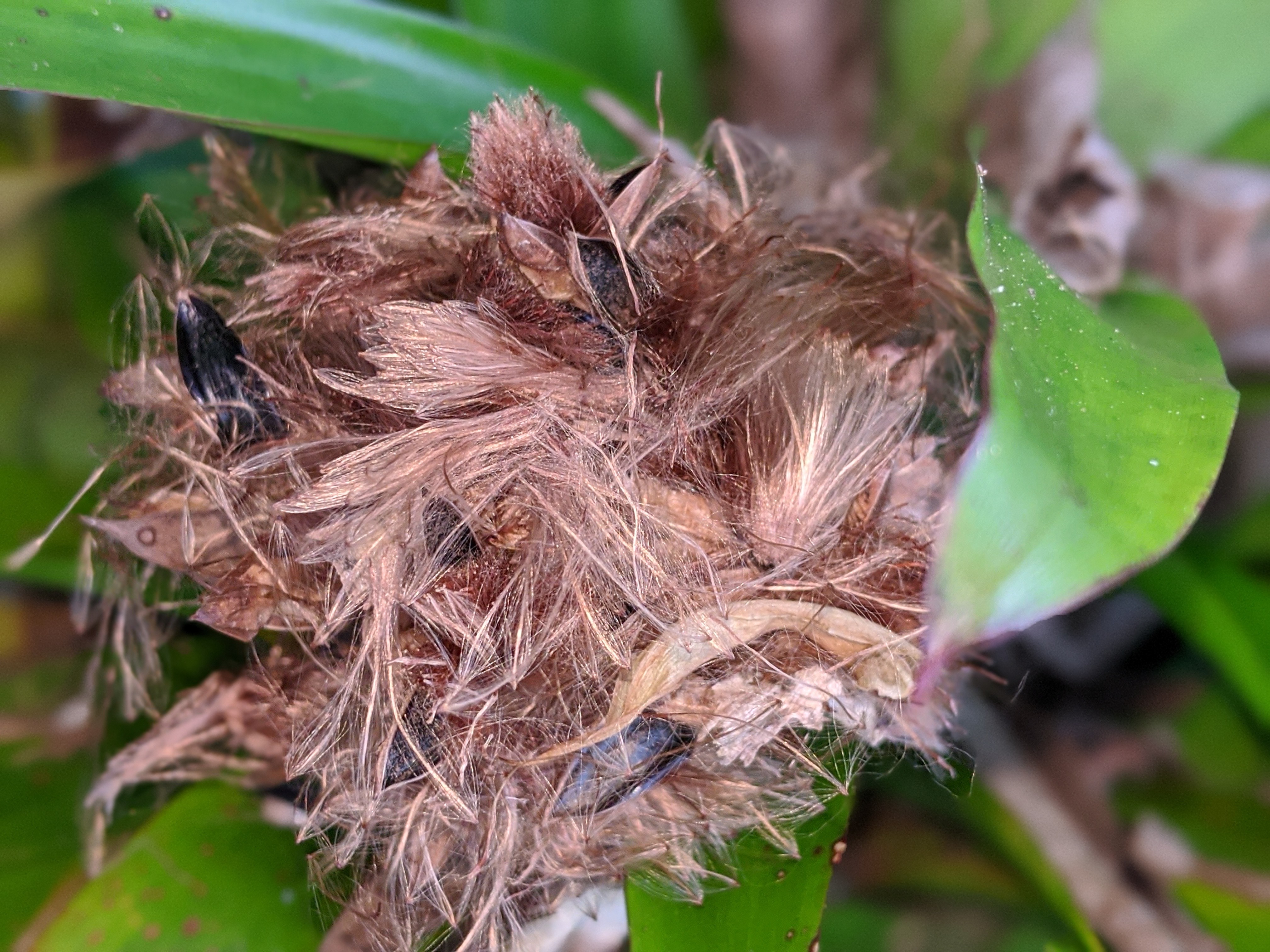 00100lrportrait_00100_burst20191122171025856_cover