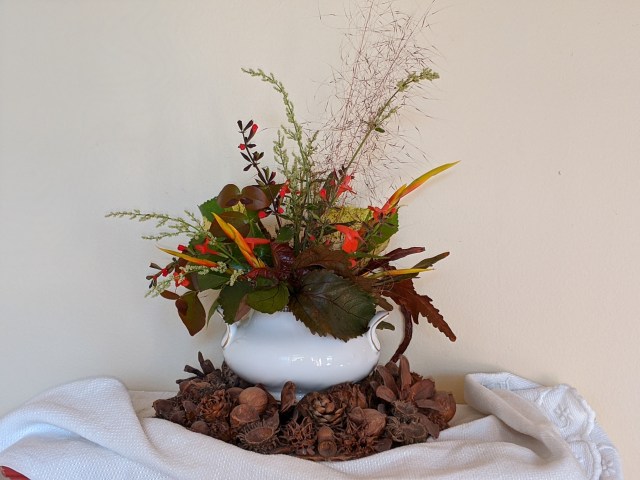 00100lrportrait_00100_burst20191124144659659_cover