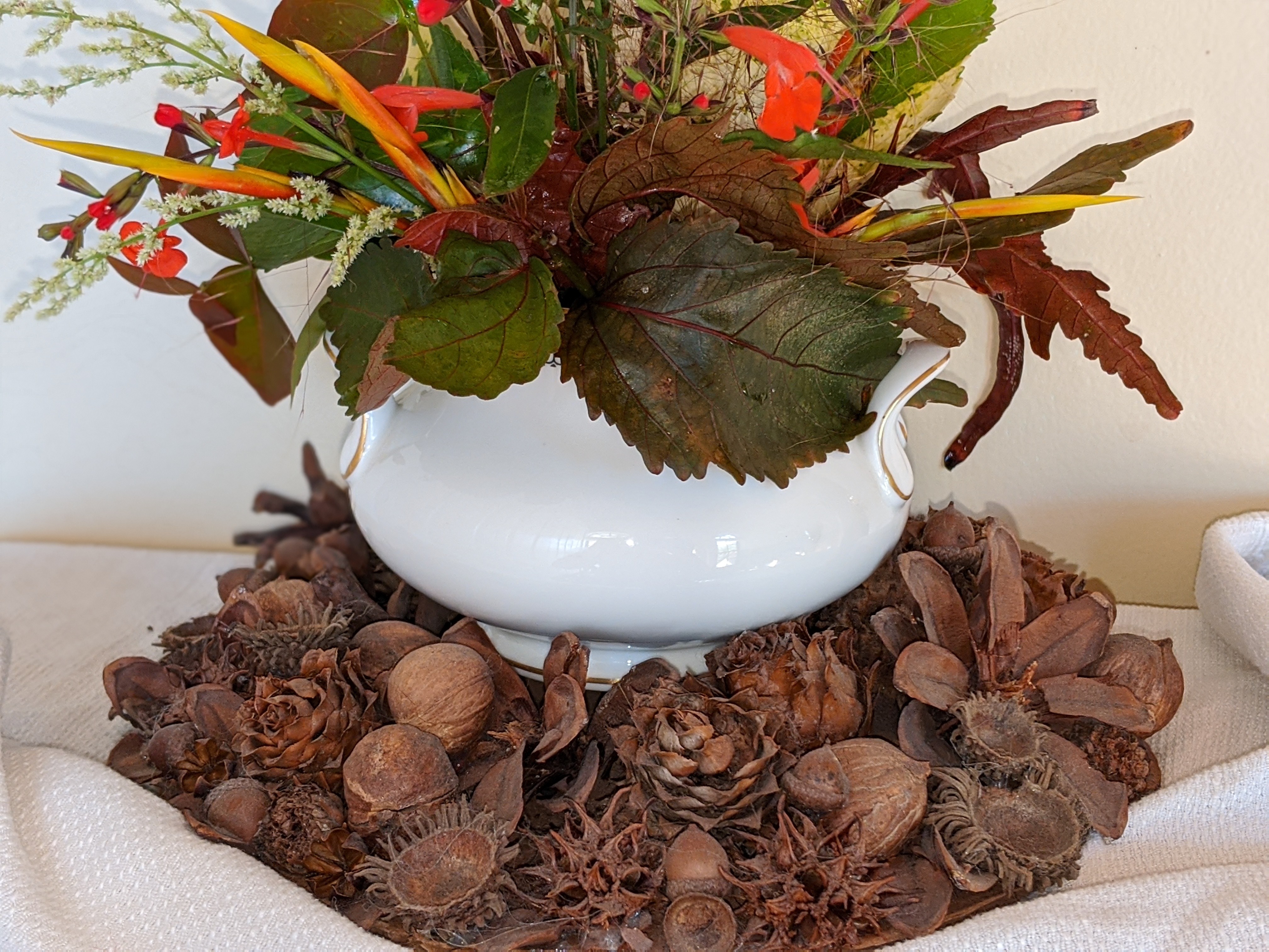 00100lrportrait_00100_burst20191124144743762_cover