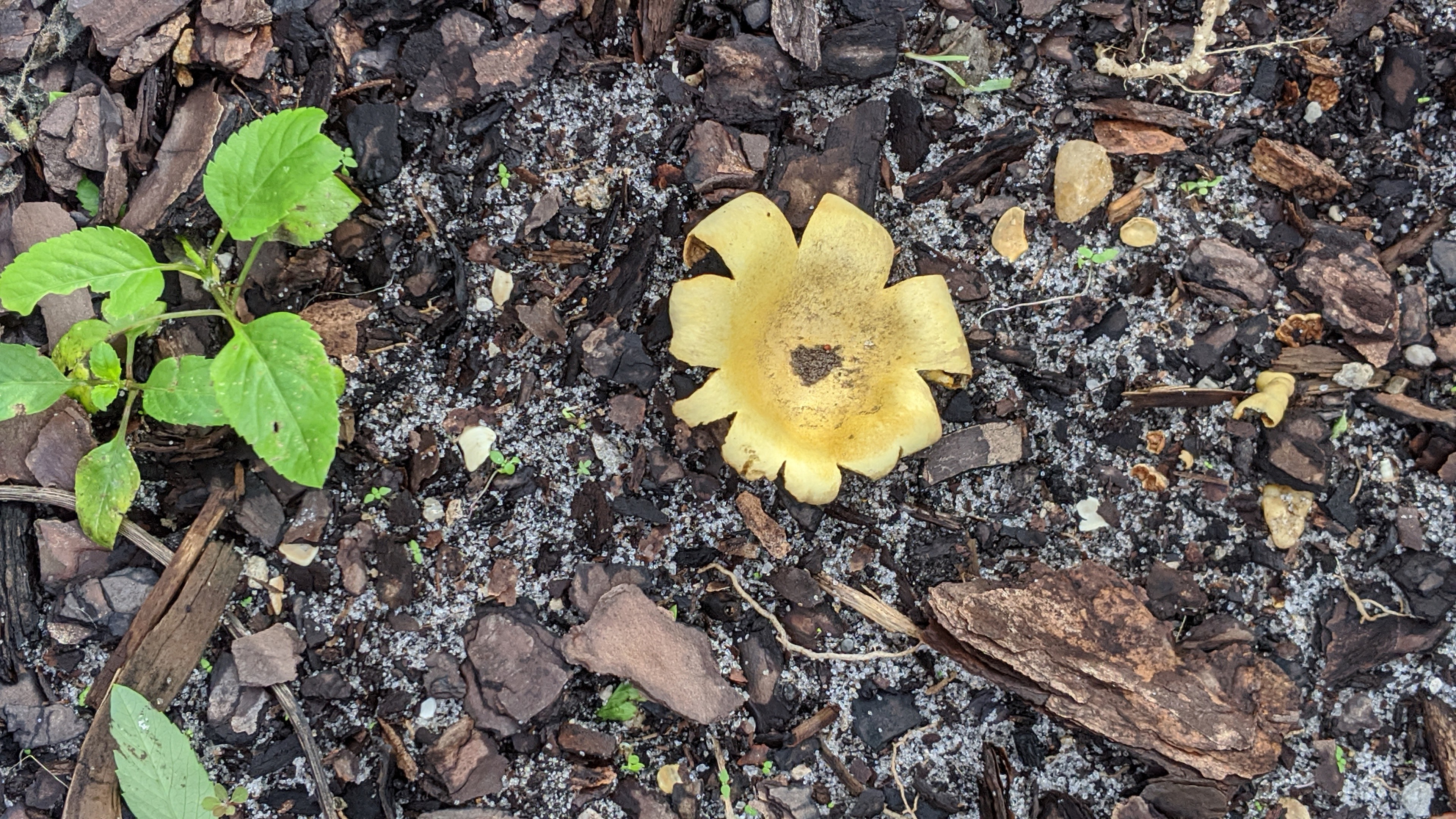 00000img_00000_burst20191213095505817_cover