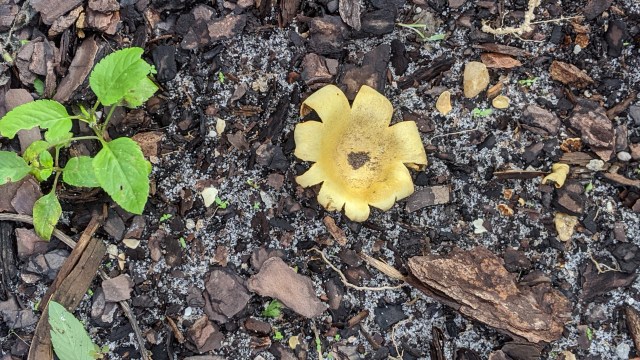 00000img_00000_burst20191213095505817_cover