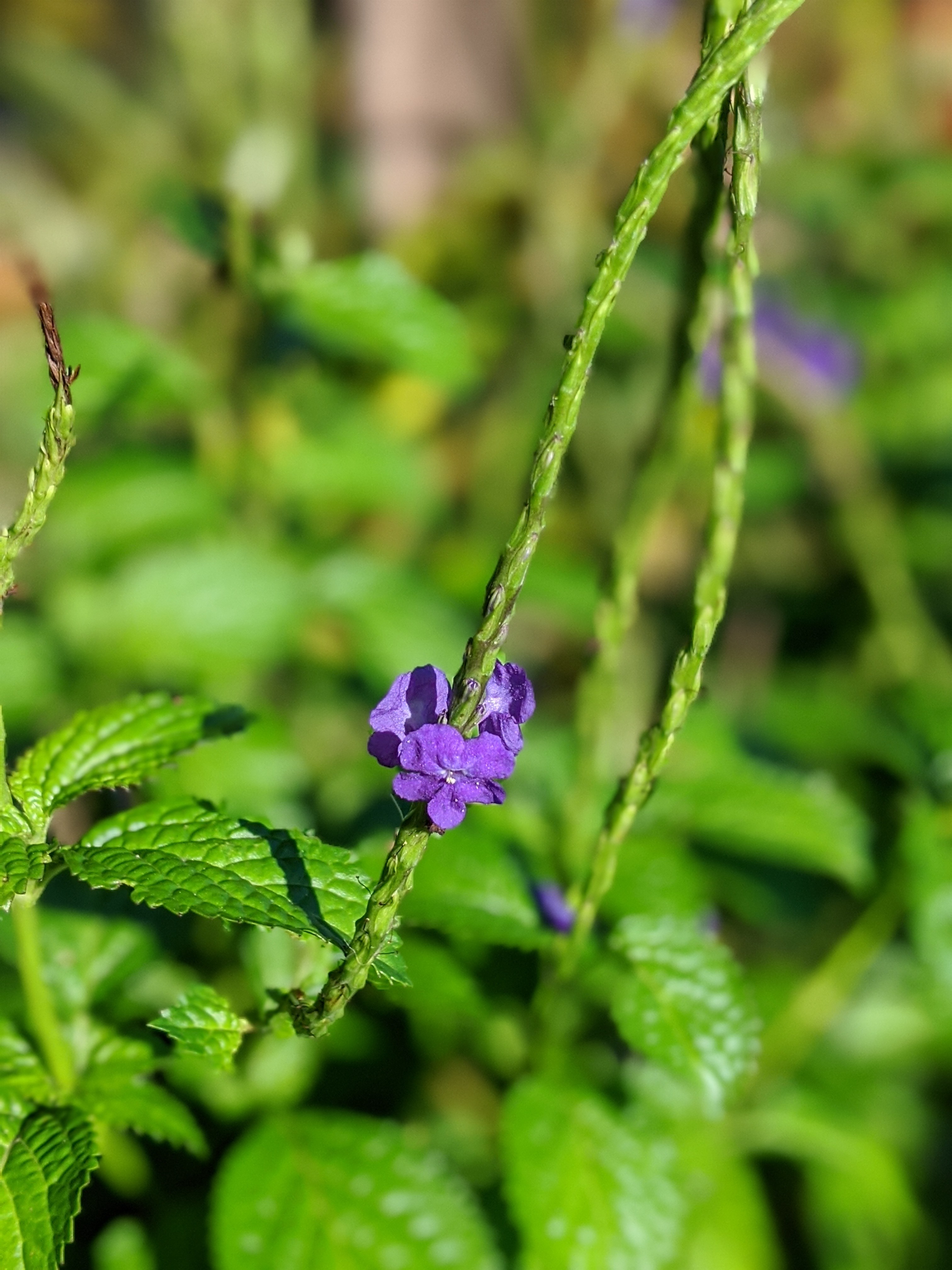 00100lrportrait_00100_burst20191116083407155_cover