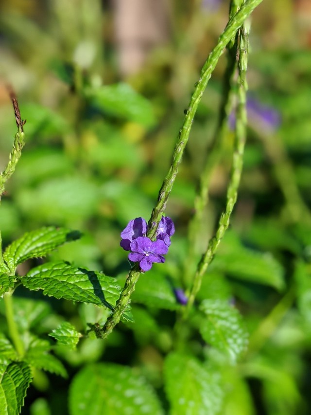 00100lrportrait_00100_burst20191116083407155_cover