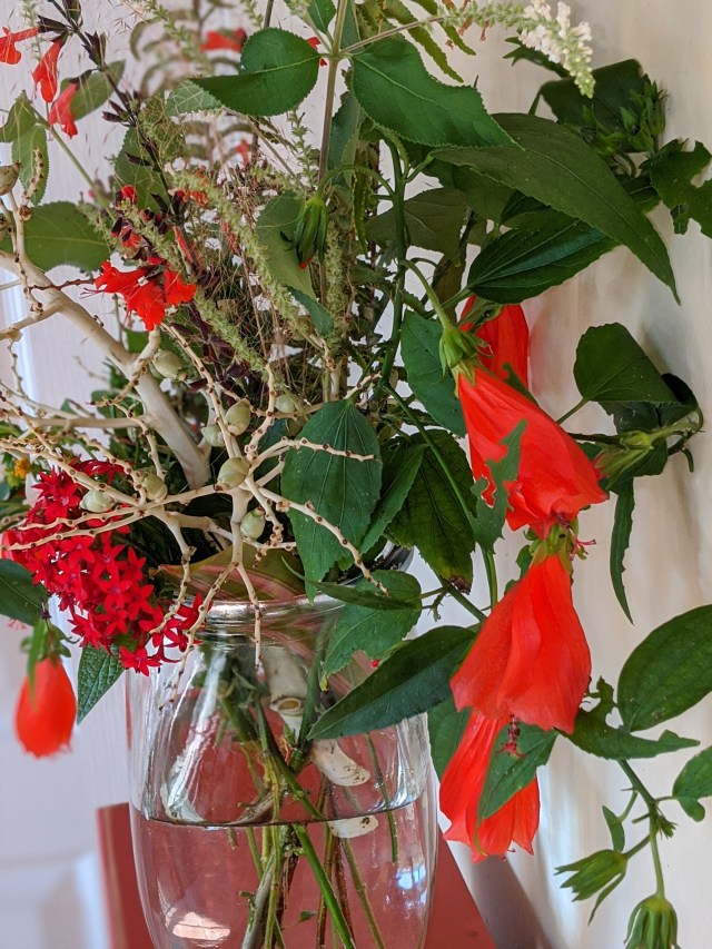 00100lrportrait_00100_burst20191201133736084_cover