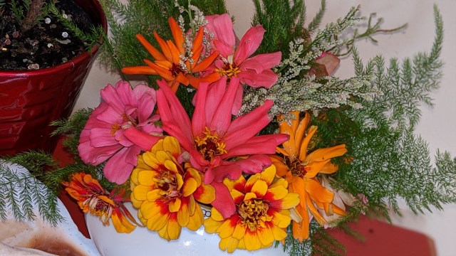 00100lrportrait_00100_burst20191222130918401_cover-1