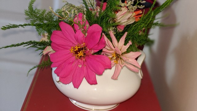 00100lrportrait_00100_burst20191222151509417_cover