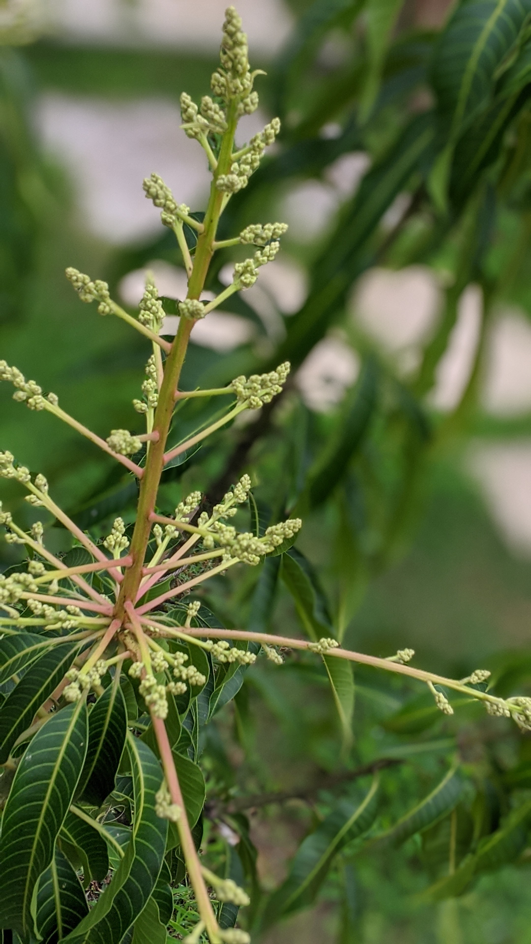 00100lrportrait_00100_burst20191228092540632_cover