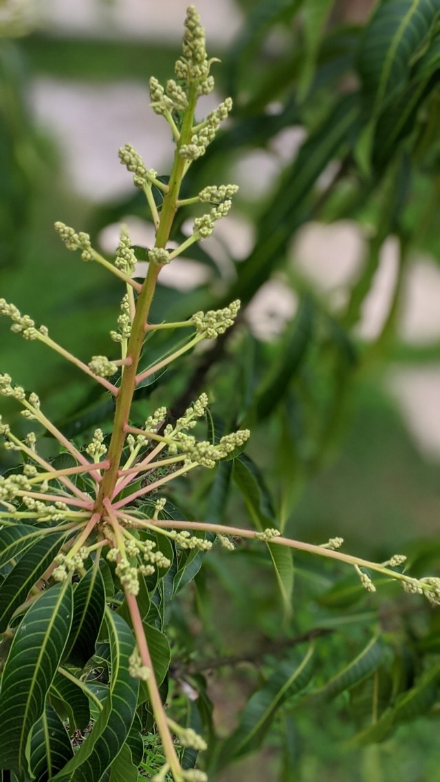 00100lrportrait_00100_burst20191228092540632_cover