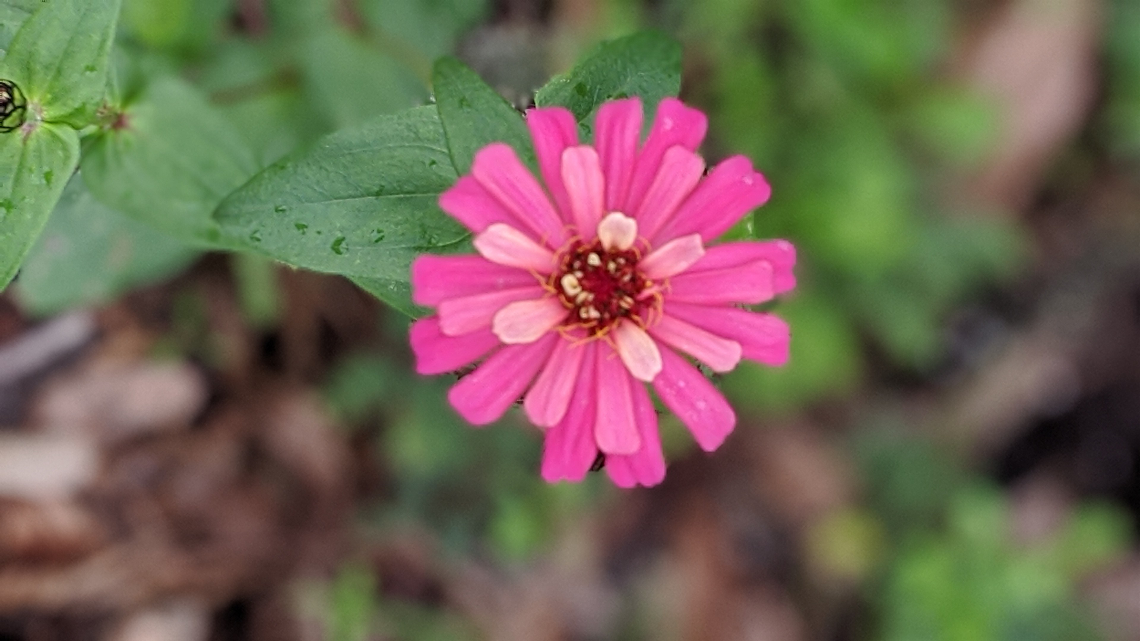 00100lrportrait_00100_burst20191228093114521_cover