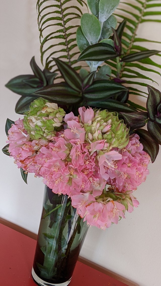 00100lrportrait_00100_burst20191229100332806_cover