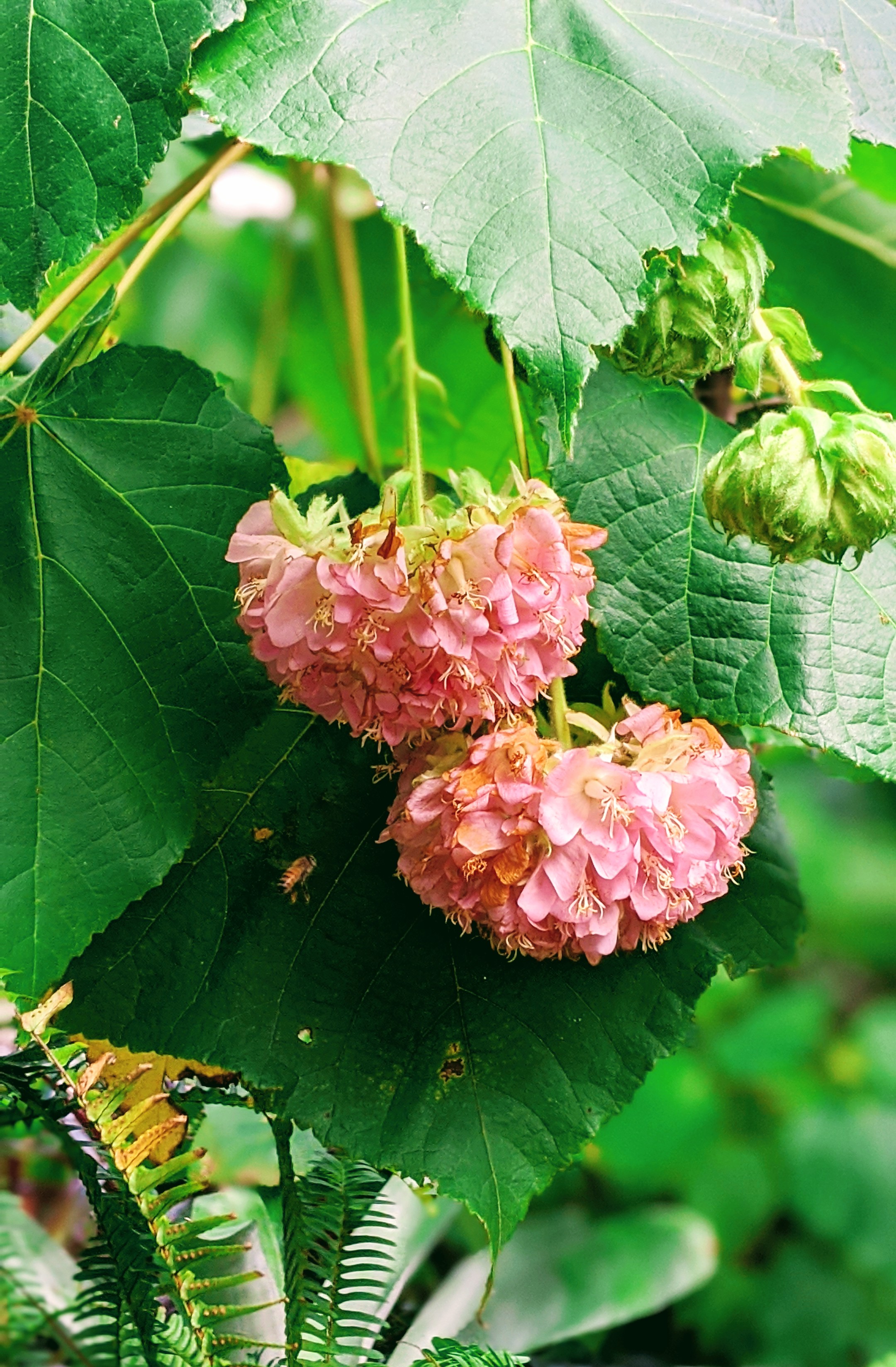 00100lrportrait_00100_burst20191229102516193_cover