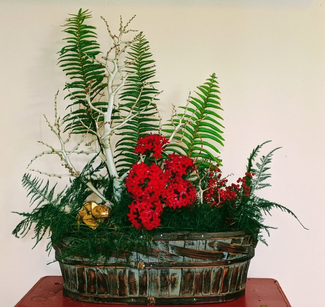 IMG_20191208_115516 (1)