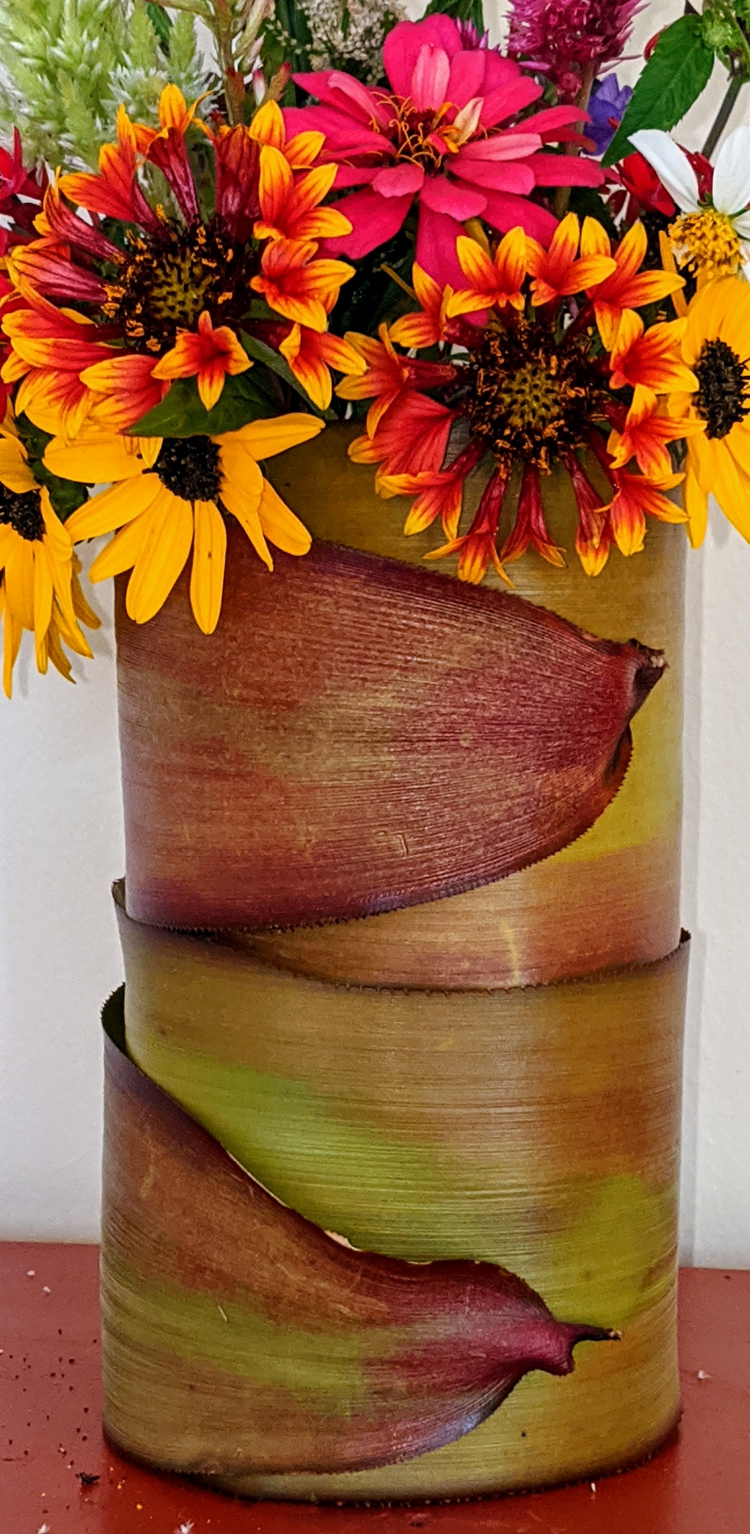 00000img_00000_burst20200119133925401_cover