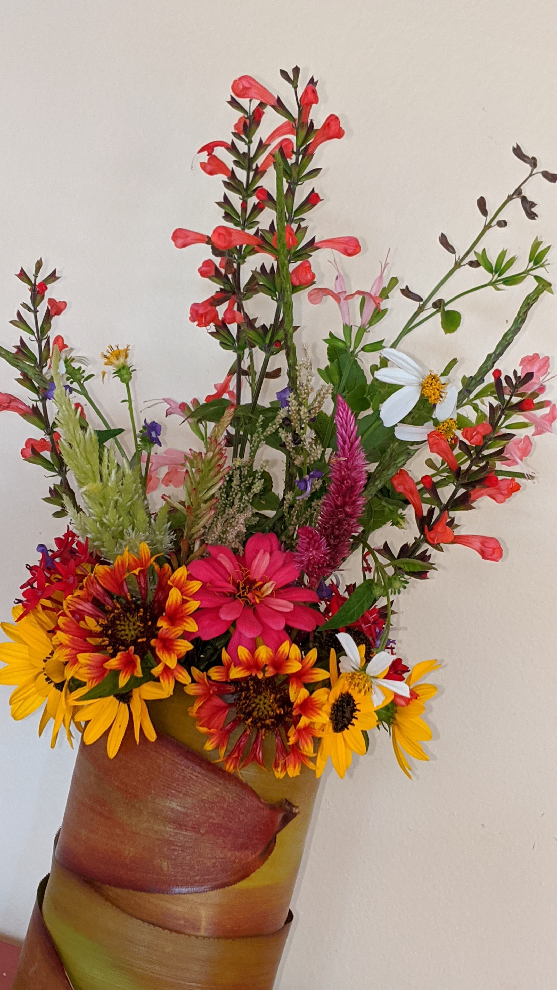 00000img_00000_burst20200119134942300_cover