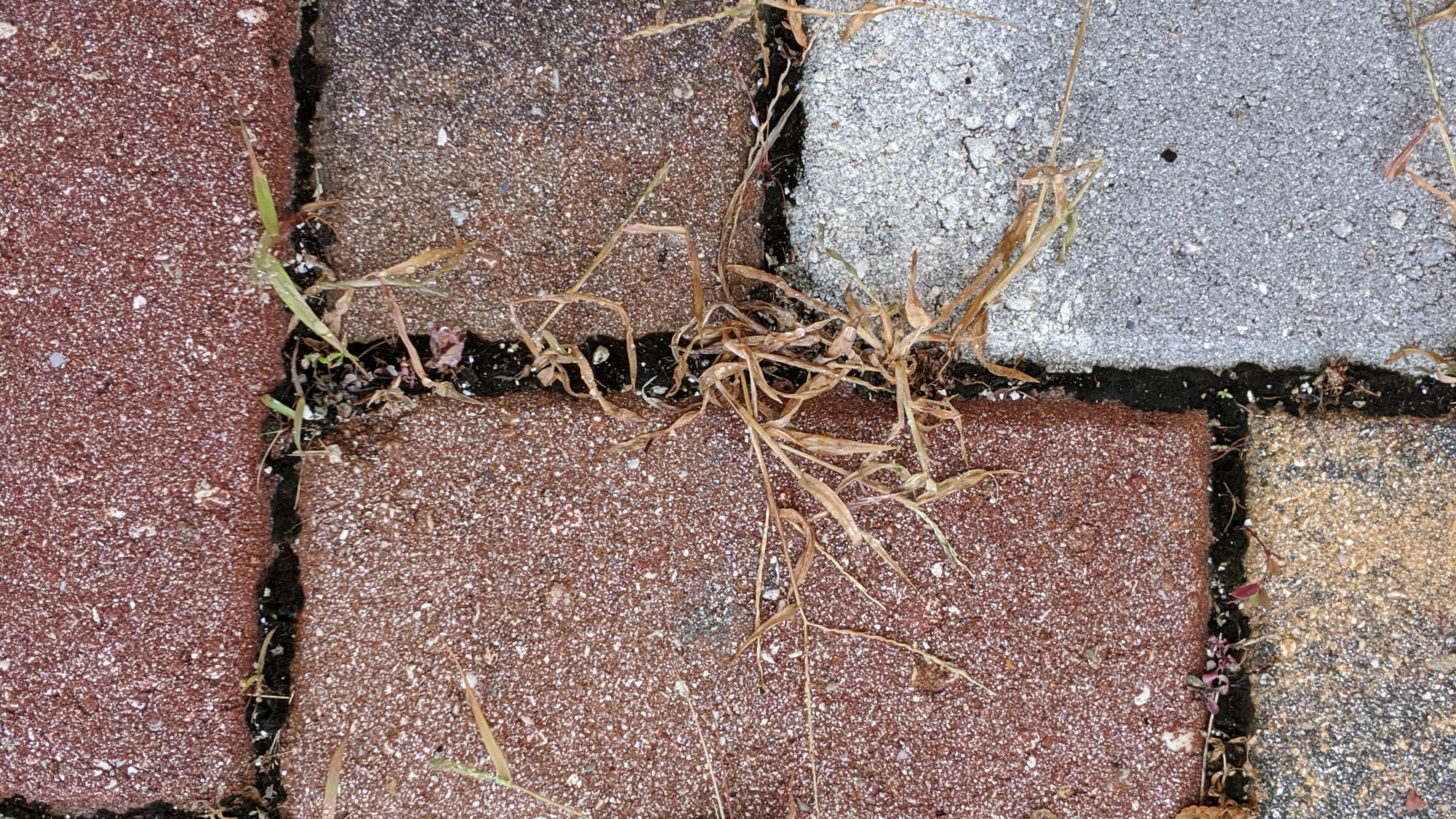 00000img_00000_burst20200122153638760_cover