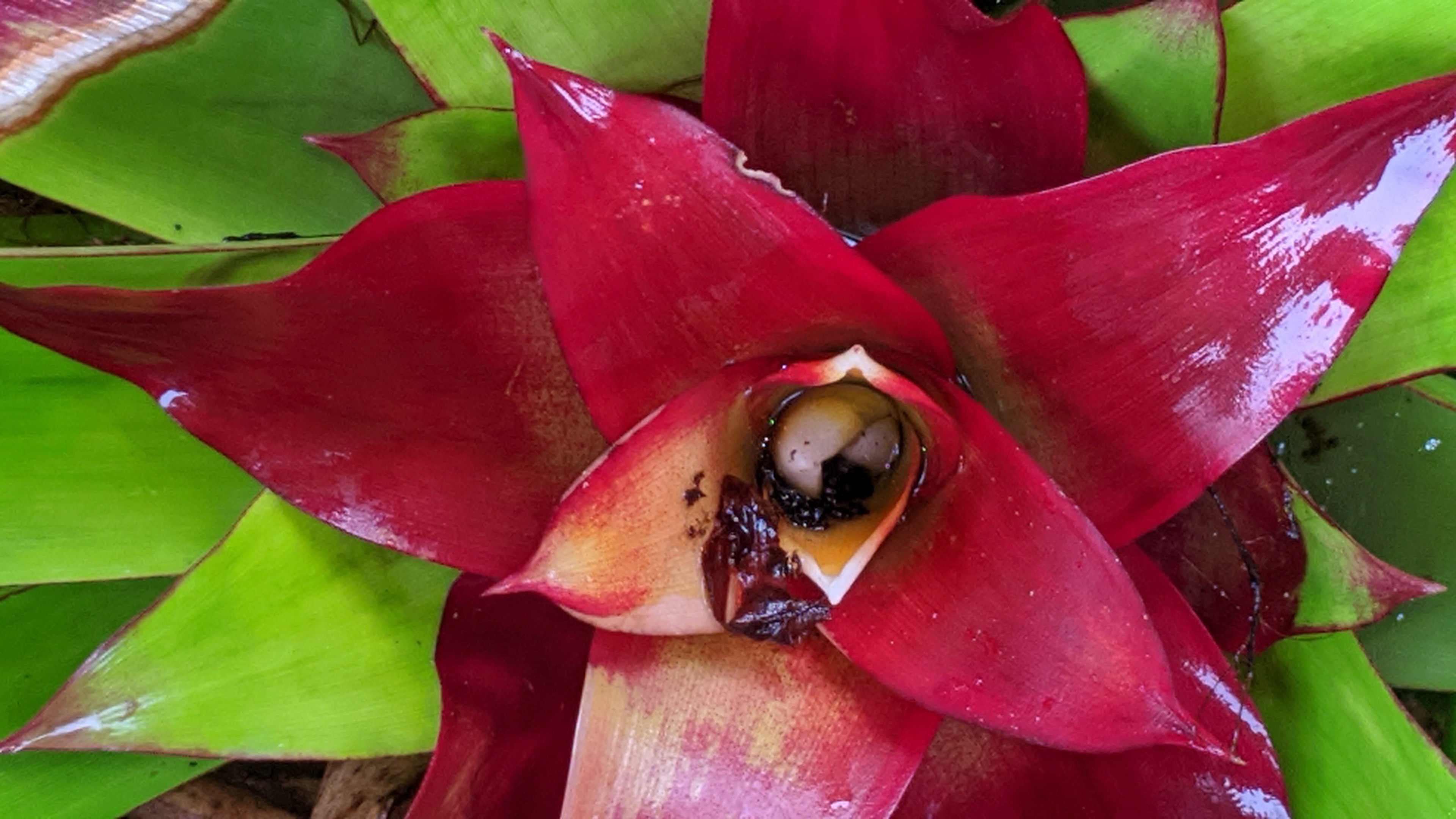 00000img_00000_burst20200124101306321_cover