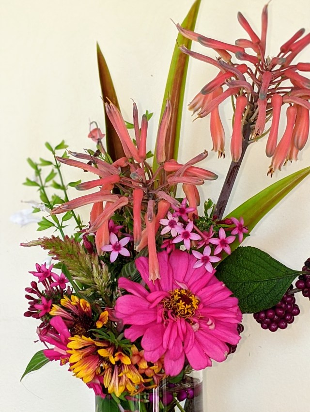 00100lrportrait_00100_burst20200105111020363_cover