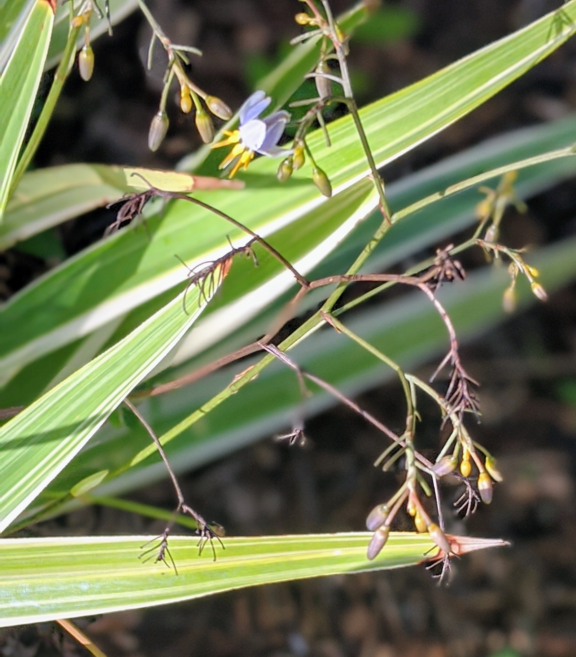 00100lrportrait_00100_burst20200111100928114_cover