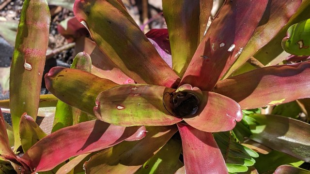 00100lrportrait_00100_burst20200111101008445_cover