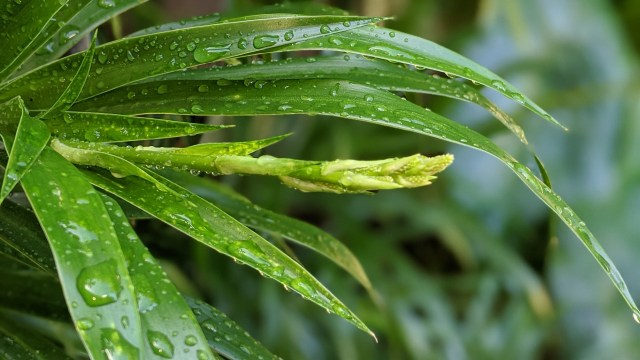 00100lrportrait_00100_burst20200111101410743_cover