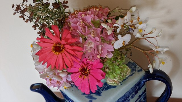 00100lrportrait_00100_burst20200112114620183_cover-1