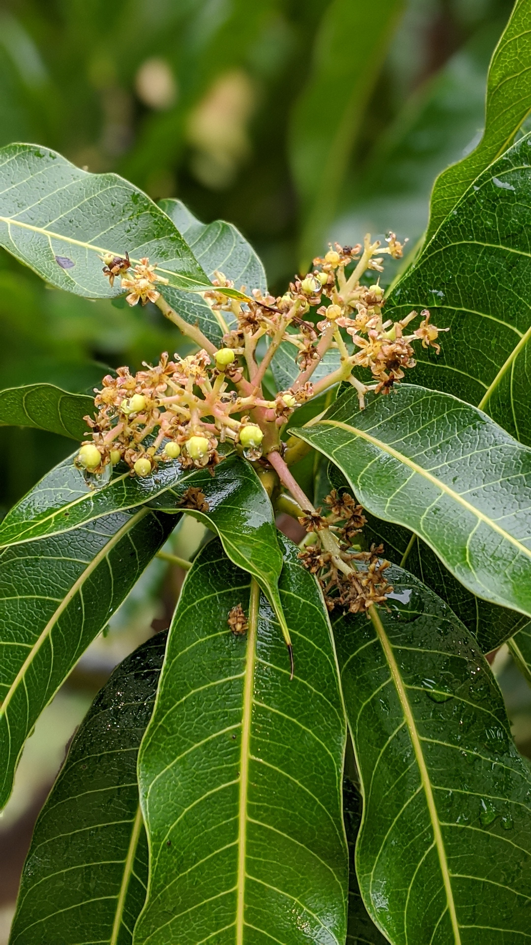 00100lrportrait_00100_burst20200124101046354_cover