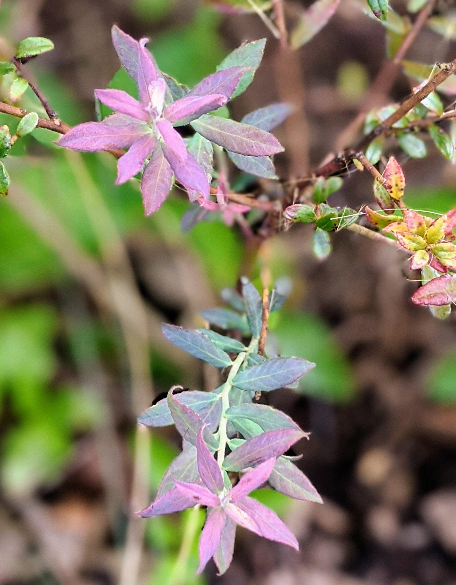 00100lrportrait_00100_burst20200124160633451_cover