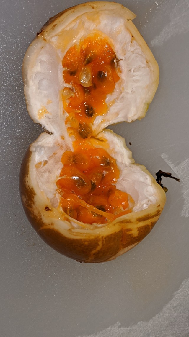 00000img_00000_burst20200131160351875_cover